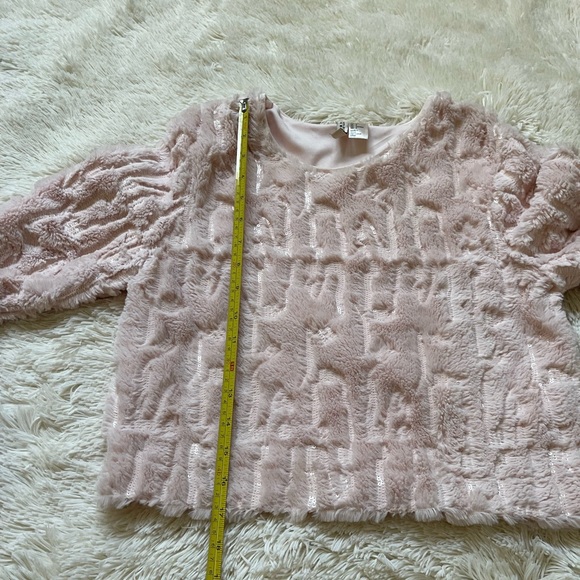 H&M faux fur sequin cropped light pink round neck sweater size 4 - Picture 7 of 9